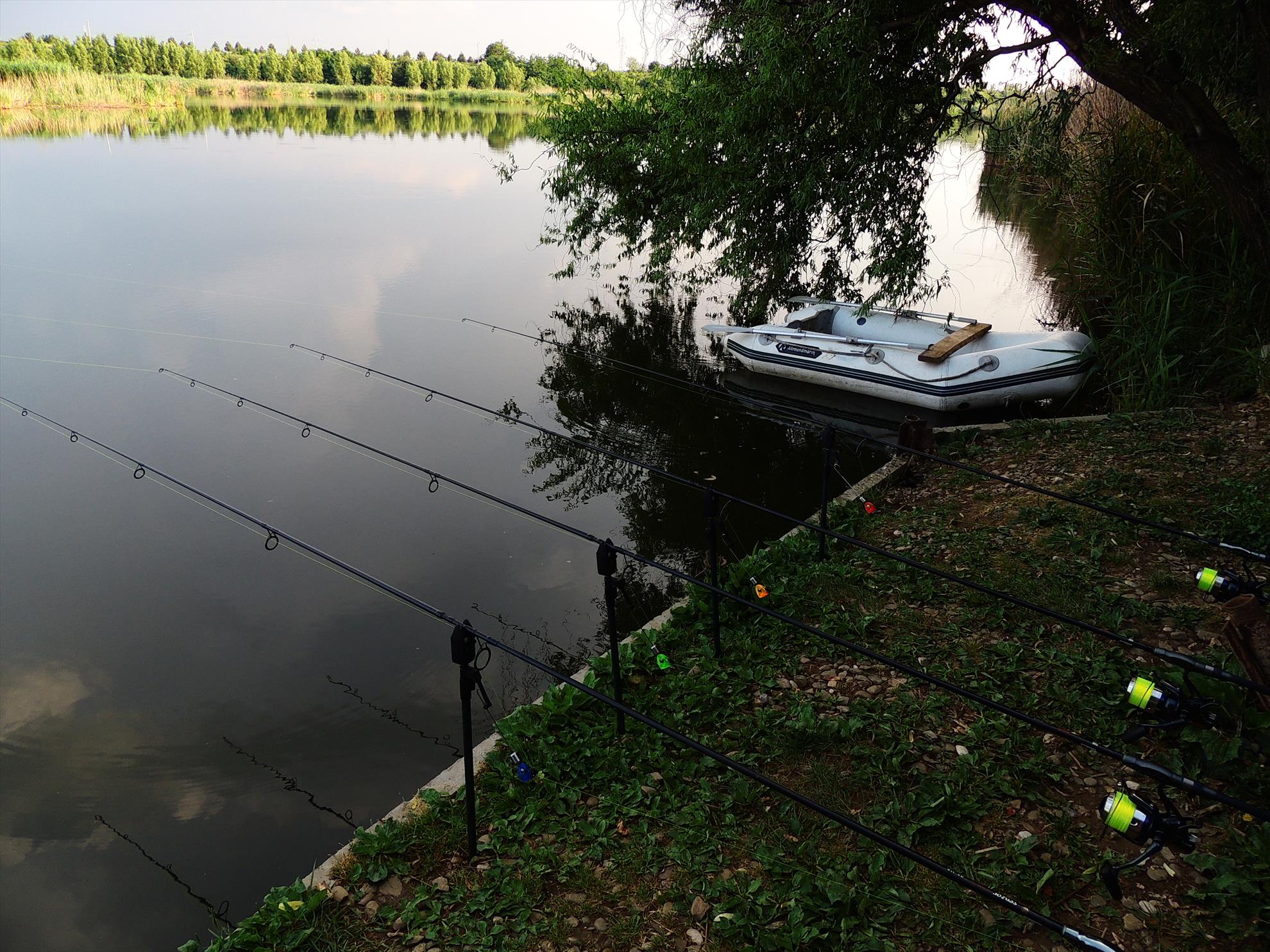 Tancabesti 14 - 16 iunie 2015 - dscn6782.JPG